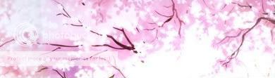 Haven Beneath The Shadow Of A Sakura Tree banner