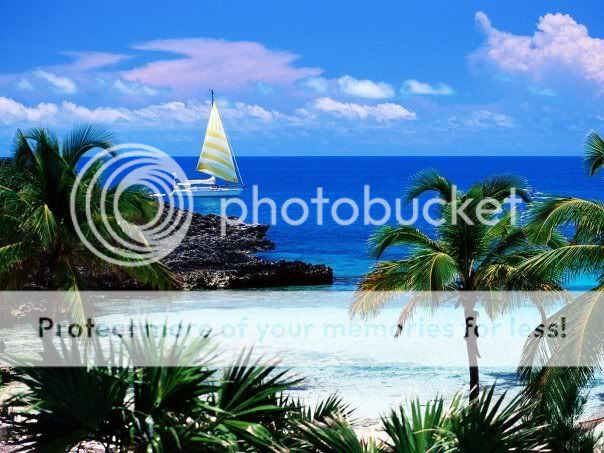 beach.jpg
