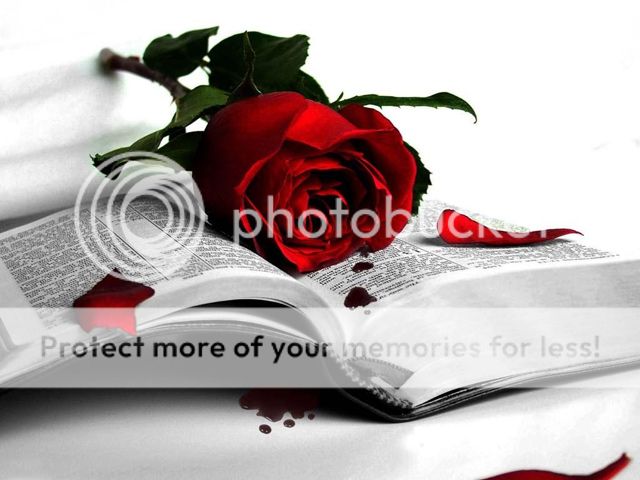 Bloody Rose_16800173