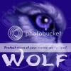 The Purple Wolf Guild. banner